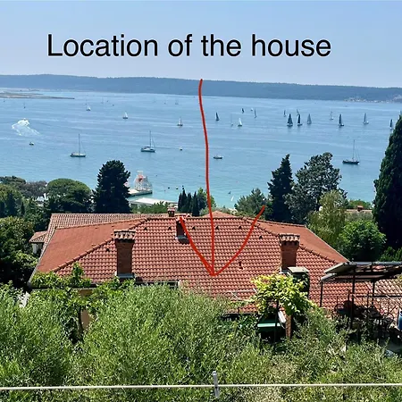 Furlan * Portorož